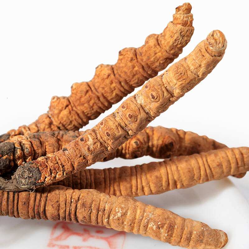 ���������Ĳݻ���